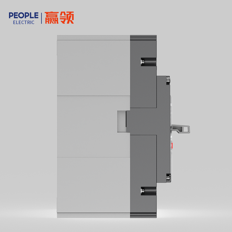 人民电器RDM5L系列剩余电流?；ざ下菲?