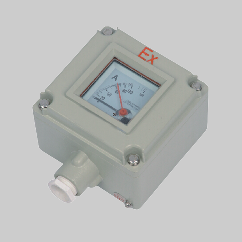 人民电器，人民电器集团，人民电器集团有限公司，中国人民电器，BYB系列防爆仪表（e）