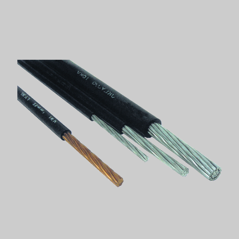 人民电器，人民电器集团，人民电器集团有限公司，中国人民电器，架空绝缘电缆