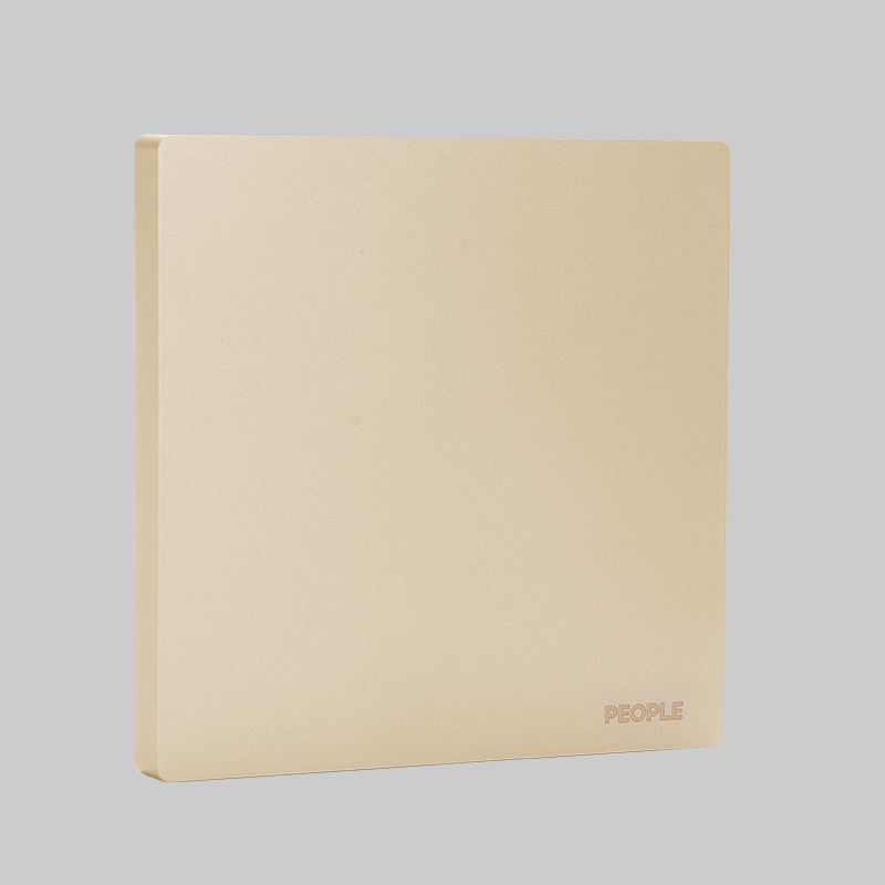 人民电器空白面板(R86H5) 